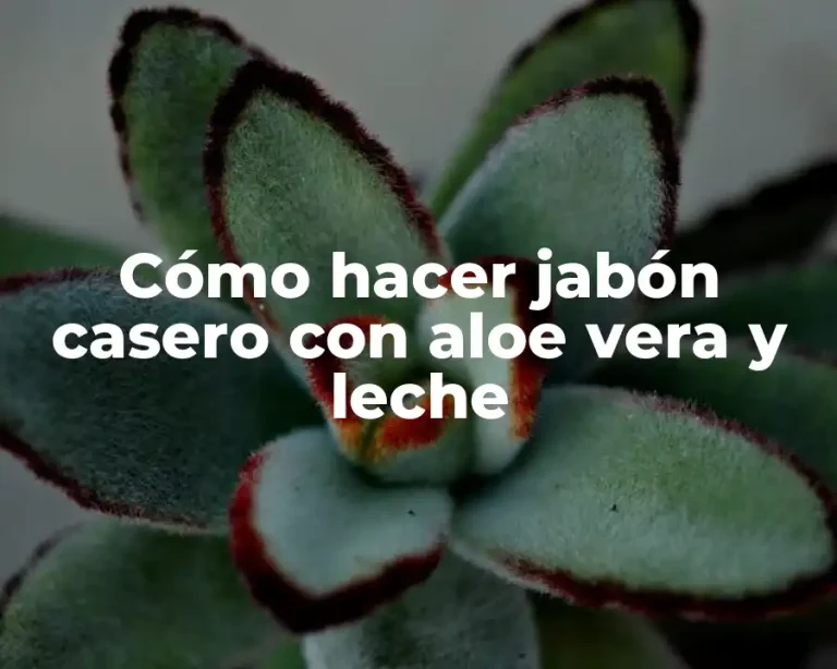 Cómo hacer jabón casero con aloe vera y leche