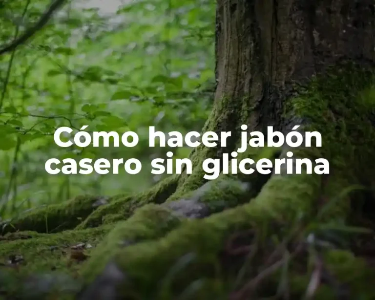 Cómo hacer jabón casero sin glicerina