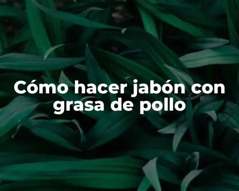 Cómo hacer jabón con grasa de pollo