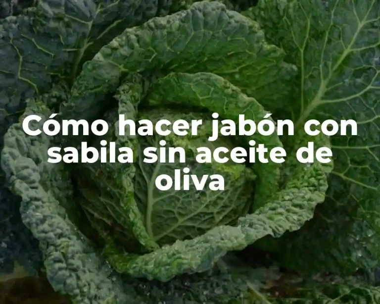 Cómo hacer jabón con sabila sin aceite de oliva
