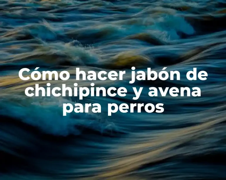 Cómo hacer jabón de chichipince y avena para perros