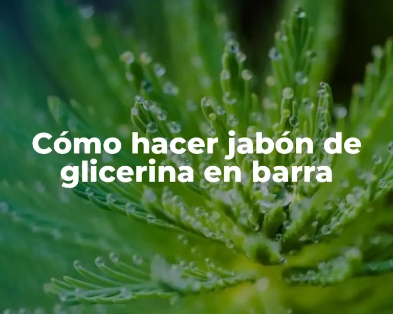 Cómo hacer jabón de glicerina en barra