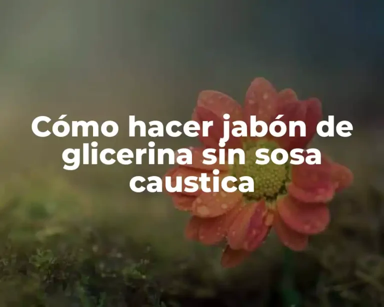Cómo hacer jabón de glicerina sin sosa caustica