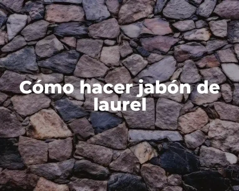 Cómo hacer jabón de laurel