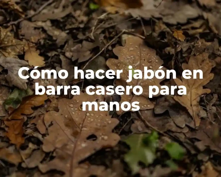 Cómo hacer jabón en barra casero para manos