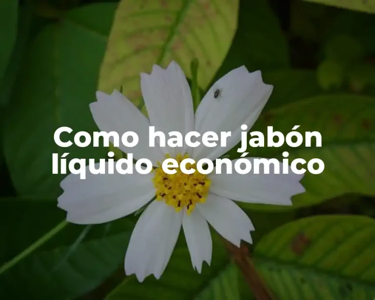 Como hacer jabón líquido económico