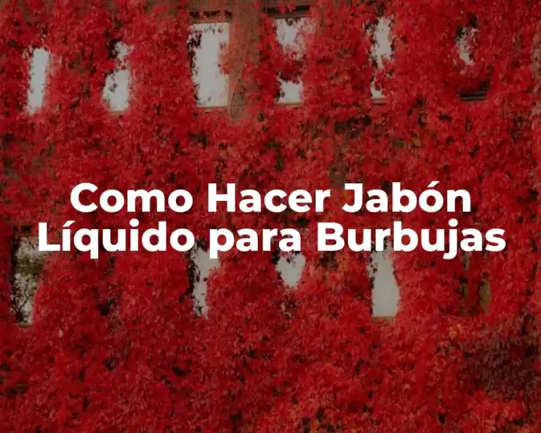 Como Hacer Jabón Líquido para Burbujas