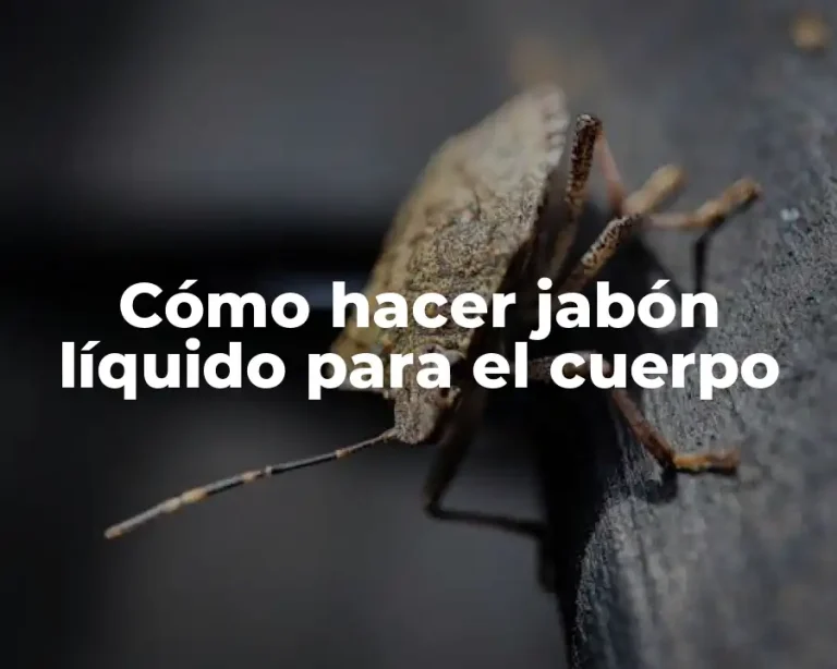 Cómo hacer jabón líquido para el cuerpo