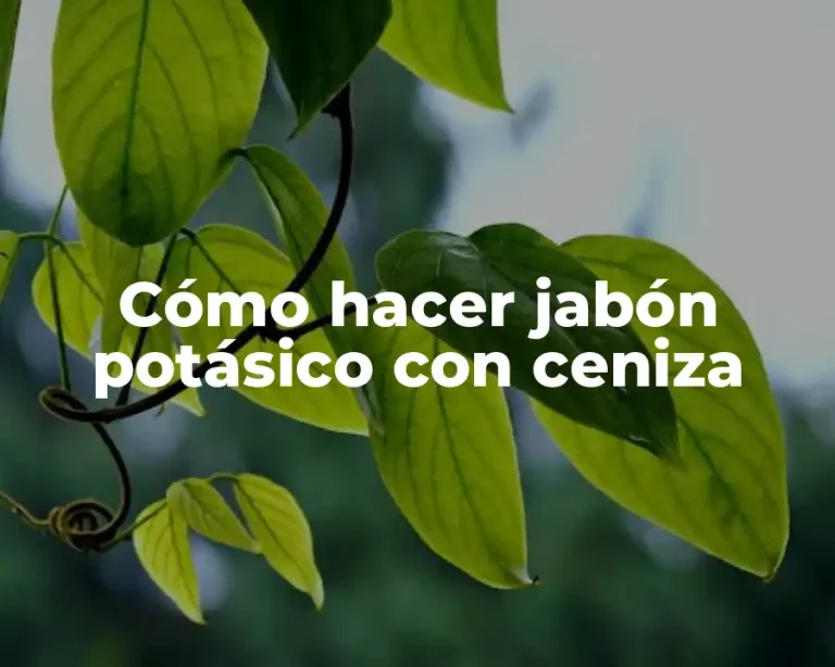 Cómo hacer jabón potásico con ceniza