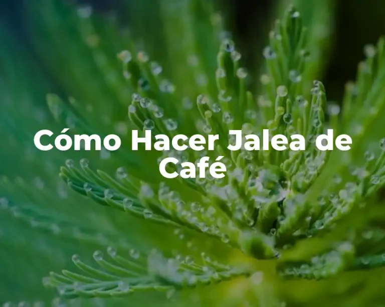 Cómo Hacer Jalea de Café