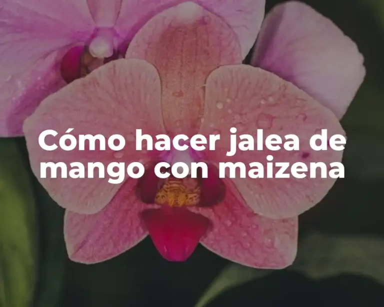 Cómo hacer jalea de mango con maizena