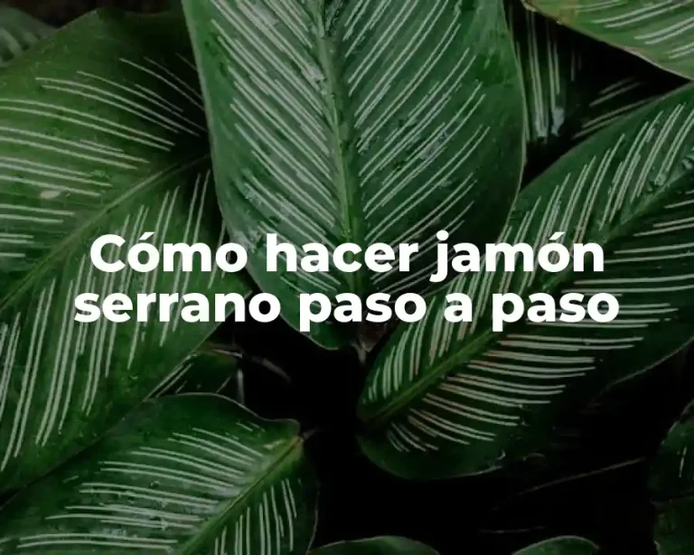 Cómo hacer jamón serrano paso a paso