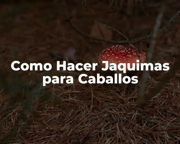 Como Hacer Jaquimas para Caballos