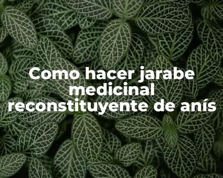 Como hacer jarabe medicinal reconstituyente de anís