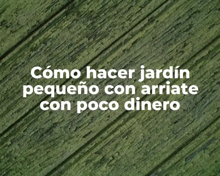 Cómo hacer jardín pequeño con arriate con poco dinero