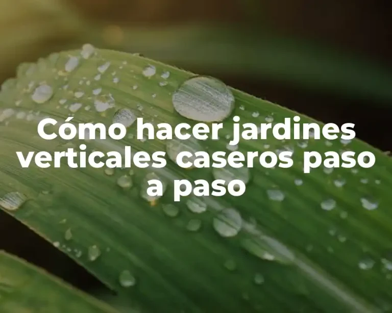 Cómo hacer jardines verticales caseros paso a paso