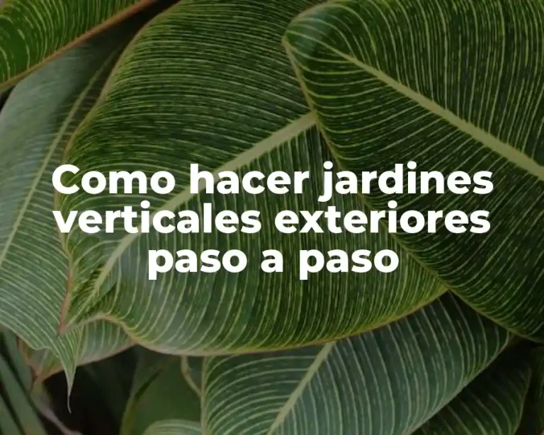Como hacer jardines verticales exteriores paso a paso