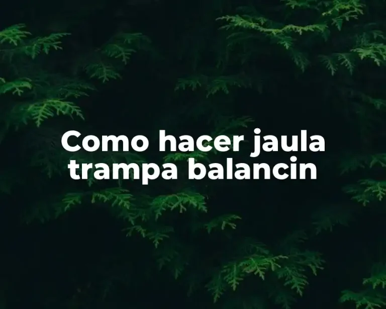 Como hacer jaula trampa balancin