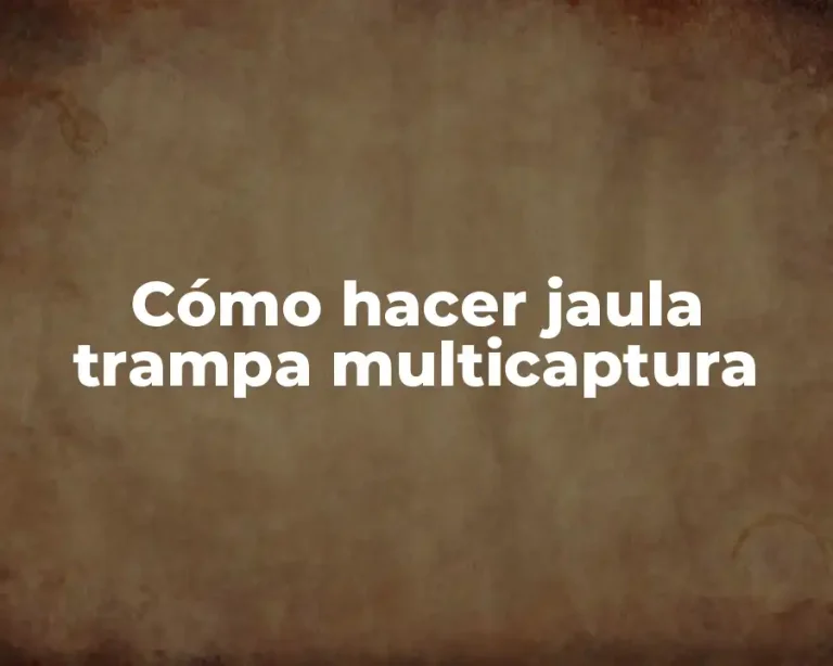 Cómo hacer jaula trampa multicaptura