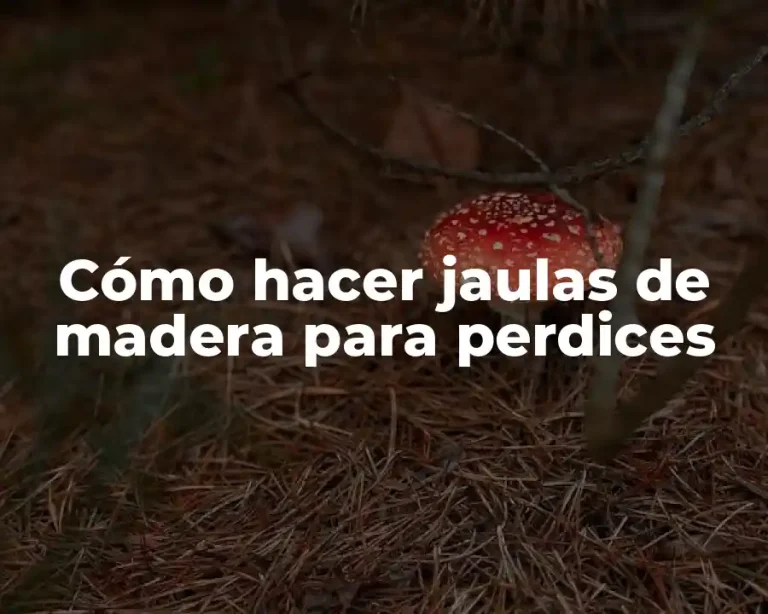 Cómo hacer jaulas de madera para perdices