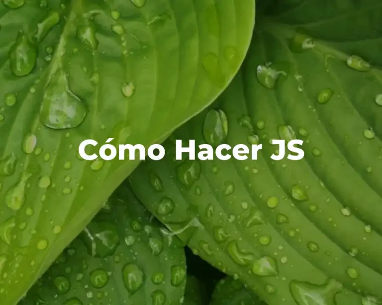 Cómo Hacer JS