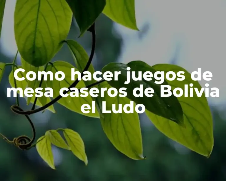 Como hacer juegos de mesa caseros de Bolivia el Ludo