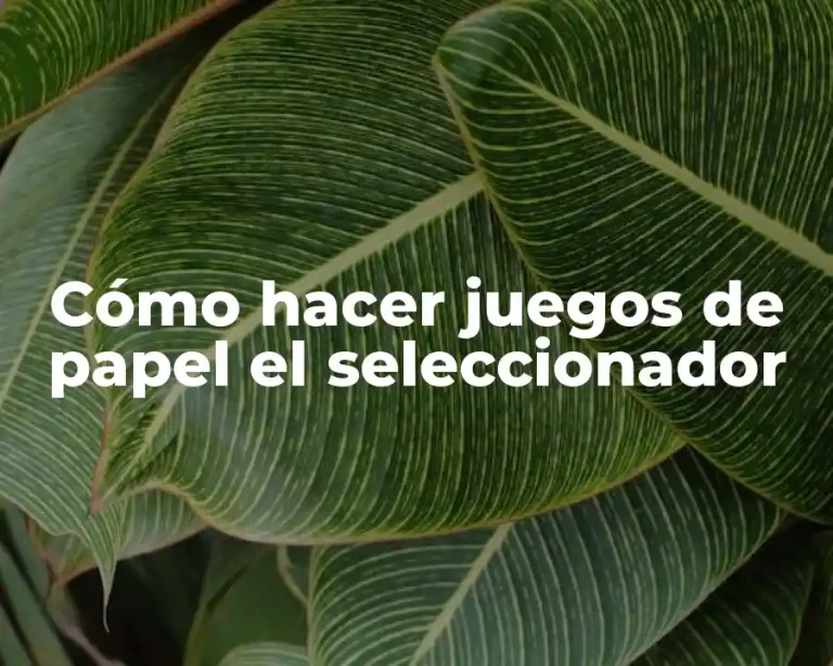 Cómo hacer juegos de papel el seleccionador