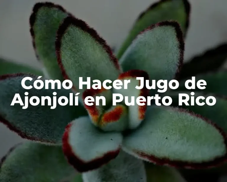 Cómo Hacer Jugo de Ajonjolí en Puerto Rico