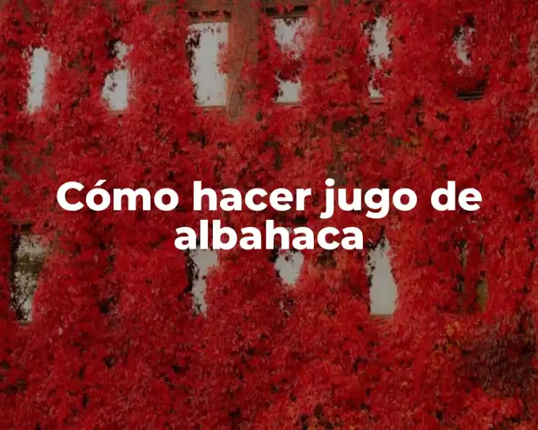 Cómo hacer jugo de albahaca