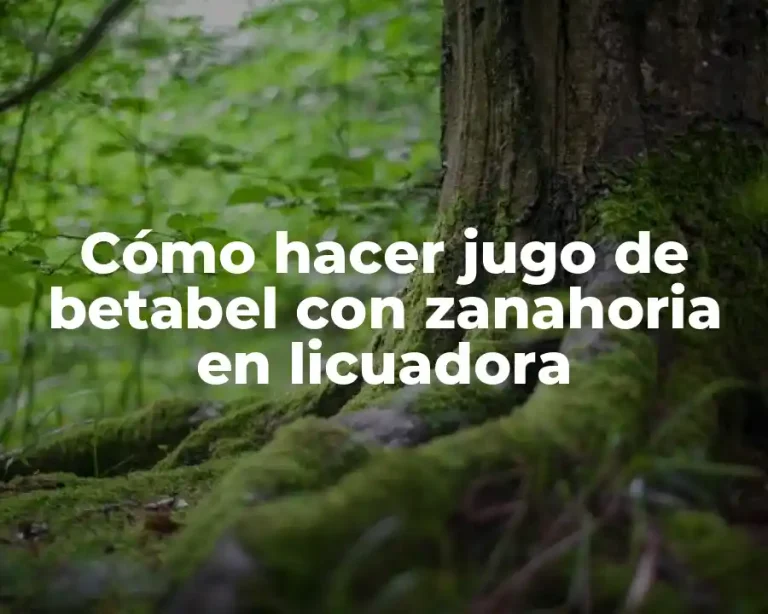 Cómo hacer jugo de betabel con zanahoria en licuadora