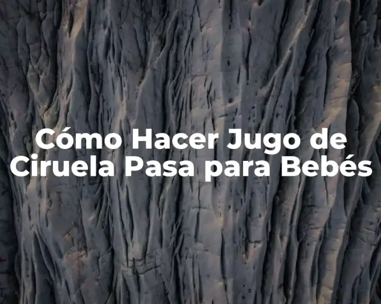 Cómo Hacer Jugo de Ciruela Pasa para Bebés