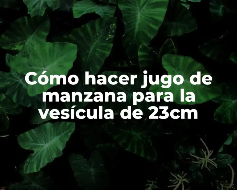Cómo hacer jugo de manzana para la vesícula de 23cm