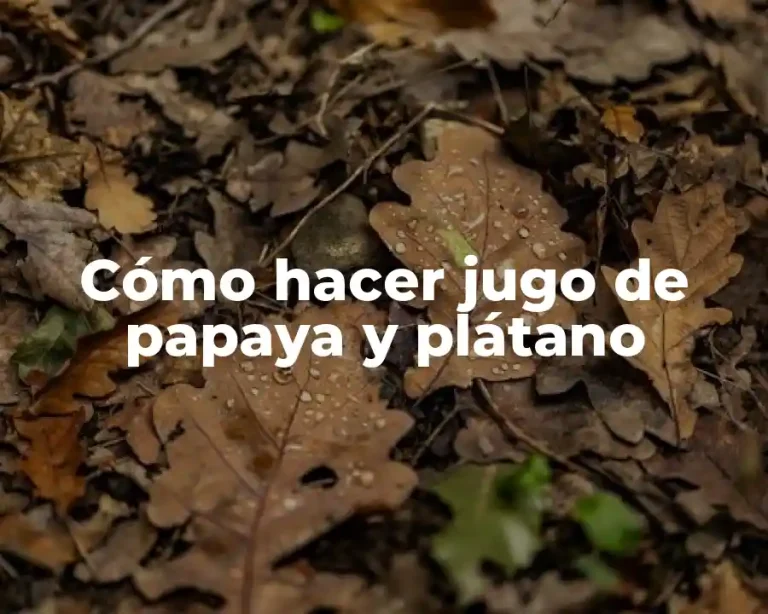 Cómo hacer jugo de papaya y plátano