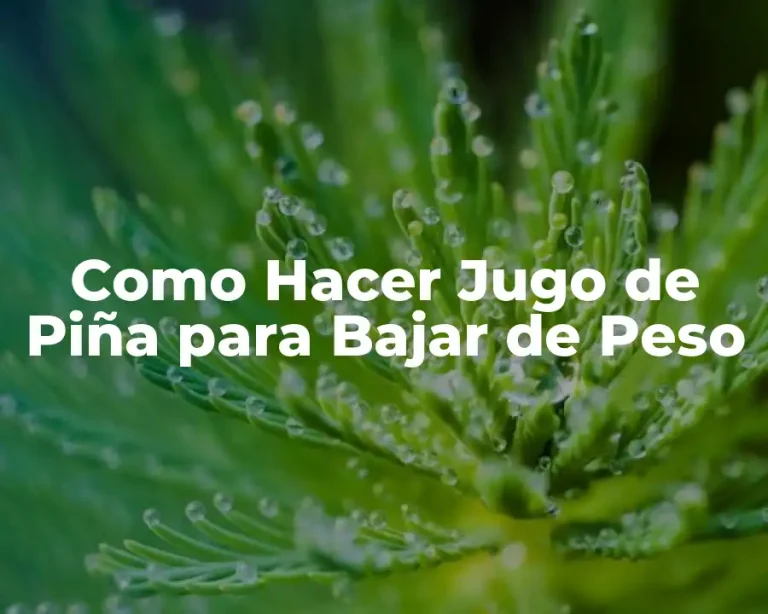 Como Hacer Jugo de Piña para Bajar de Peso