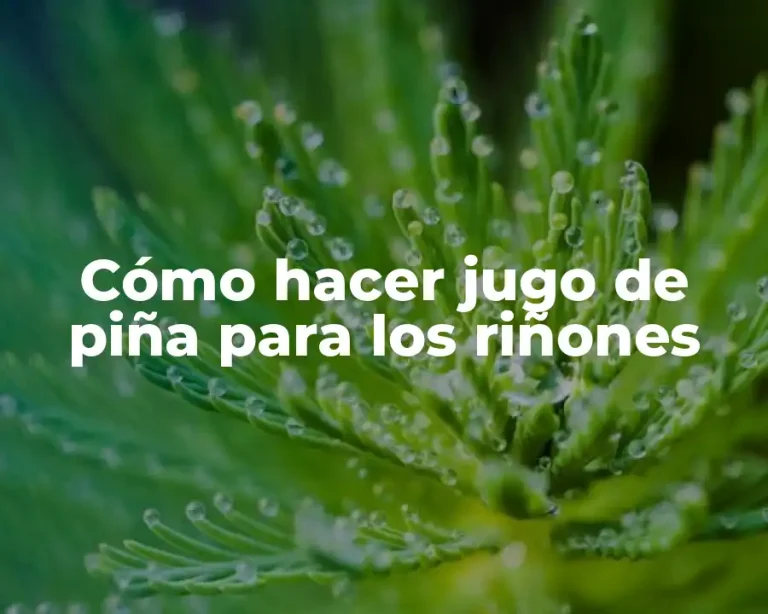 Cómo hacer jugo de piña para los riñones