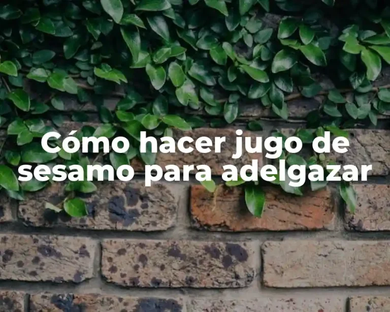 Cómo hacer jugo de sesamo para adelgazar