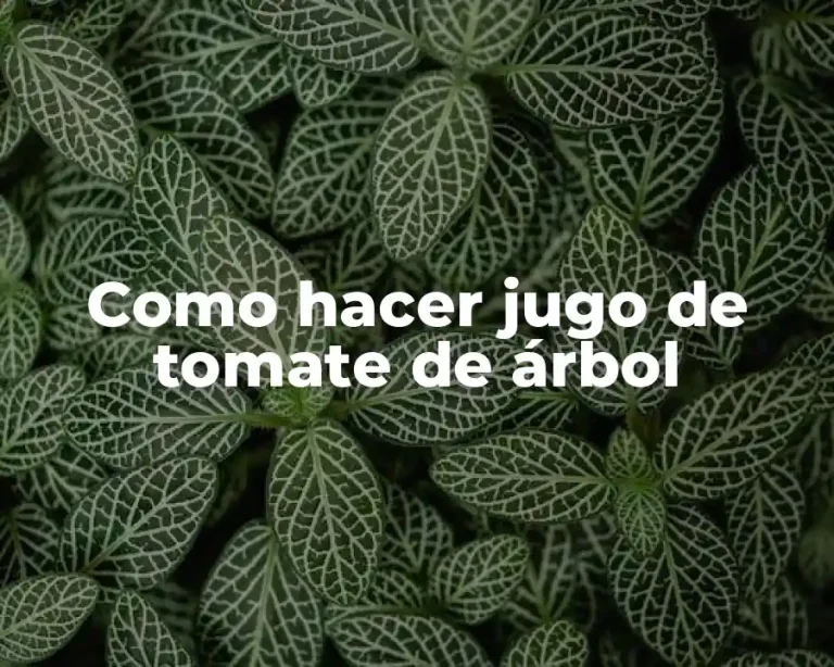 Como hacer jugo de tomate de árbol