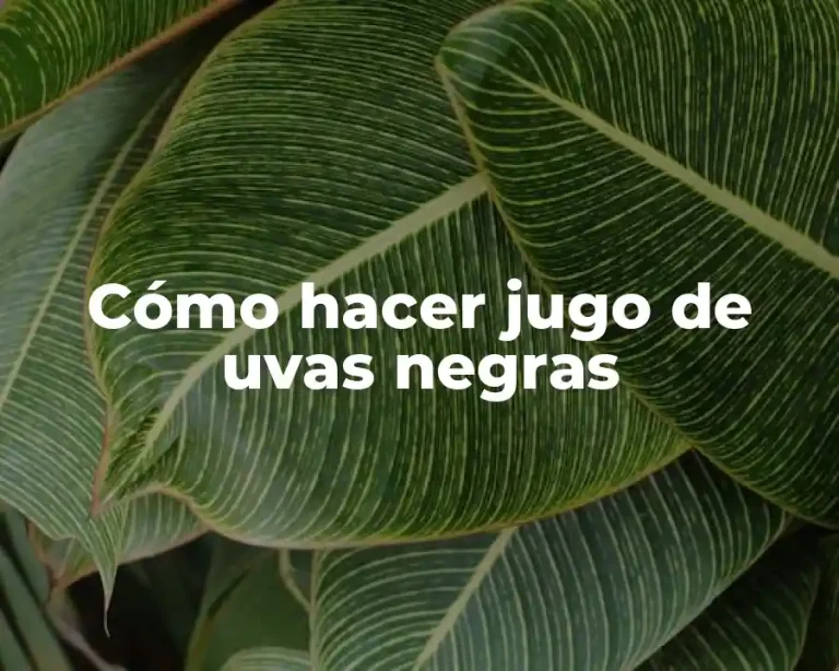 Cómo hacer jugo de uvas negras