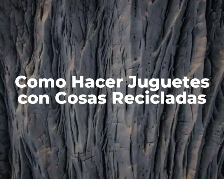 Como Hacer Juguetes con Cosas Recicladas