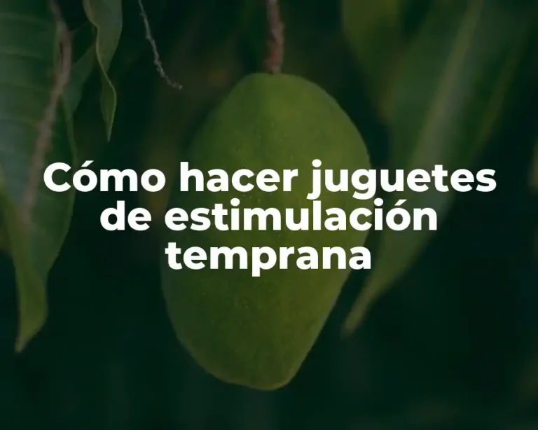 Cómo hacer juguetes de estimulación temprana