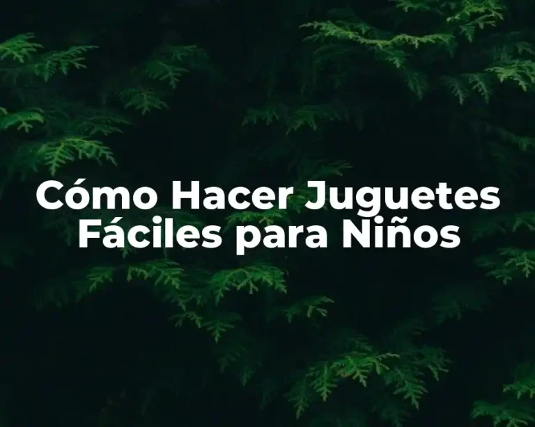 Cómo Hacer Juguetes Fáciles para Niños