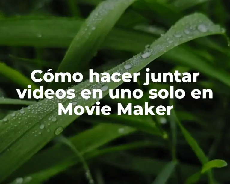 Cómo hacer juntar videos en uno solo en Movie Maker
