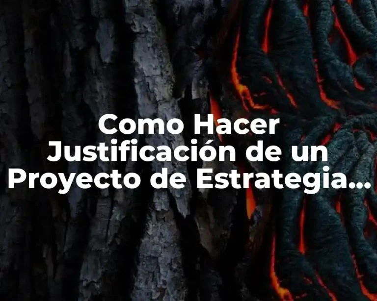 Como Hacer Justificación de un Proyecto de Estrategia Publicitaria
