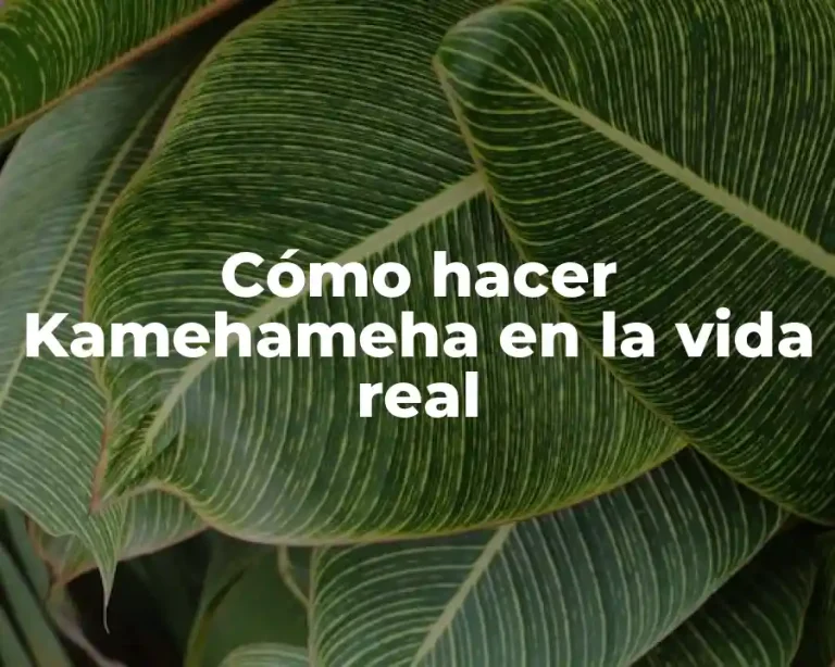 Cómo hacer Kamehameha en la vida real