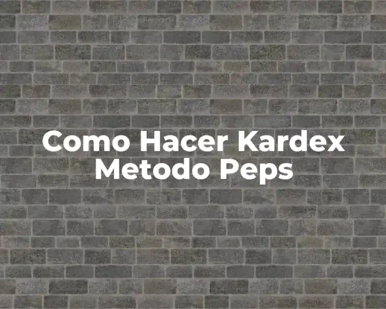 Como Hacer Kardex Metodo Peps