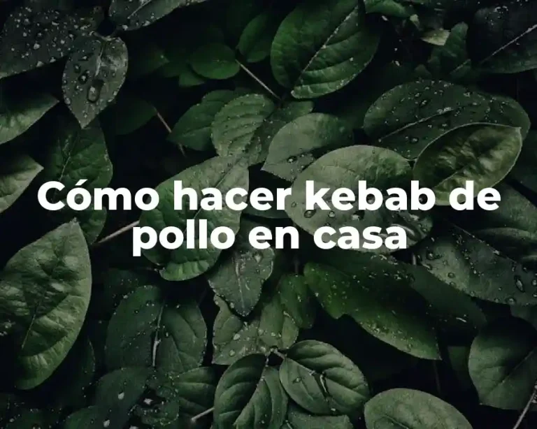 Cómo hacer kebab de pollo en casa
