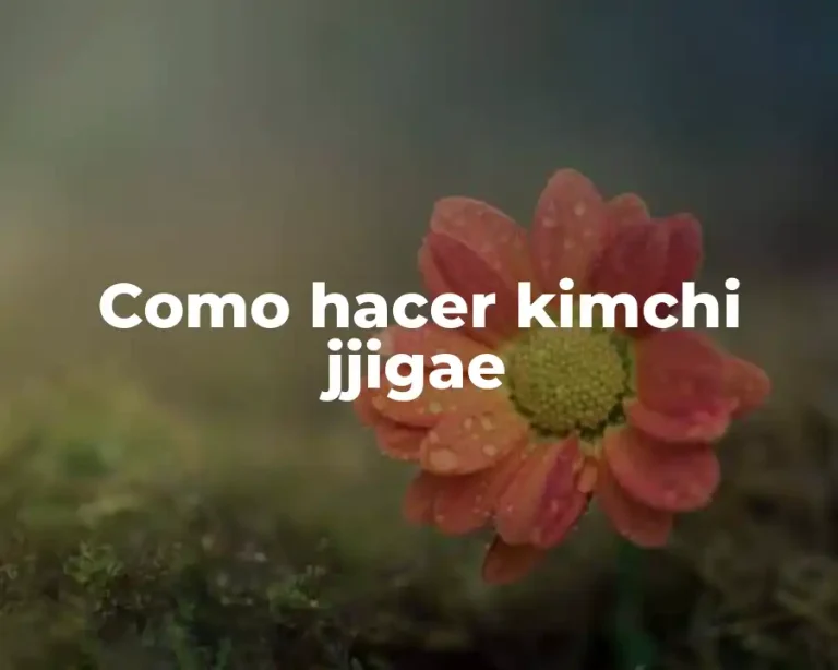 Como hacer kimchi jjigae