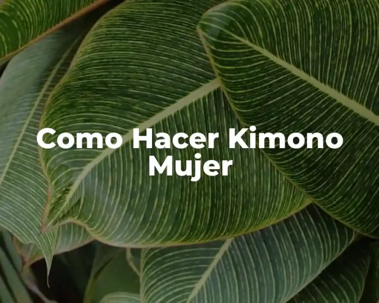 Como Hacer Kimono Mujer