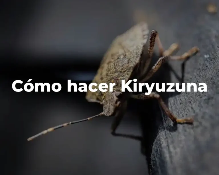 Cómo hacer Kiryuzuna
