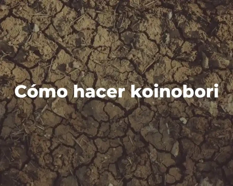 Cómo hacer koinobori